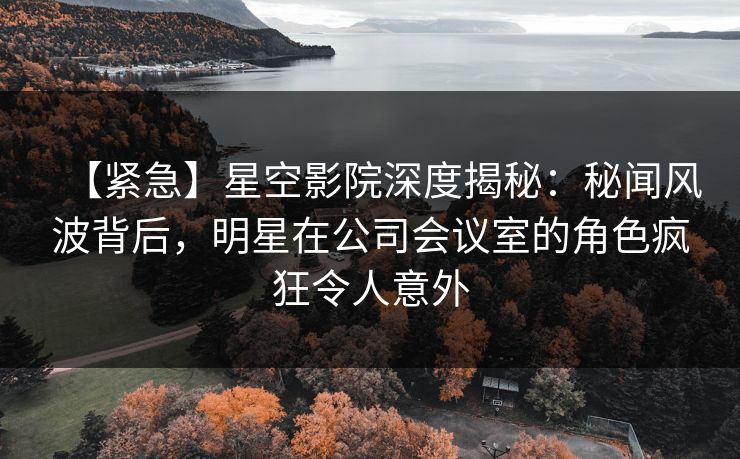 【紧急】星空影院深度揭秘：秘闻风波背后，明星在公司会议室的角色疯狂令人意外
